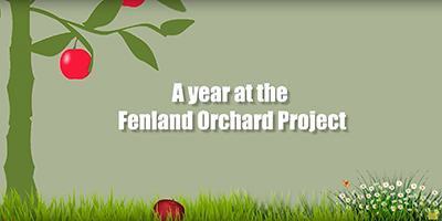 Fenland Orchard Project